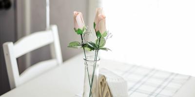 Streamline customized models